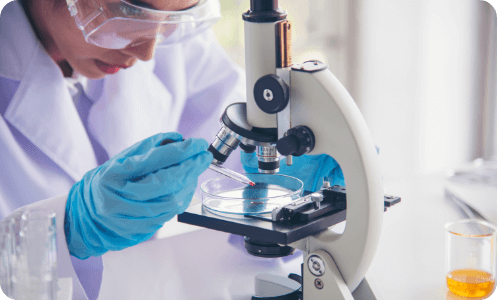 Automating chromatographic profile integration for a global healthcare major