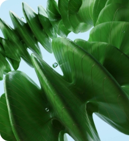 Embracing sustainability