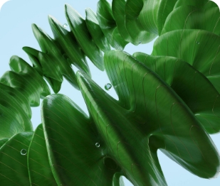 Embracing sustainability